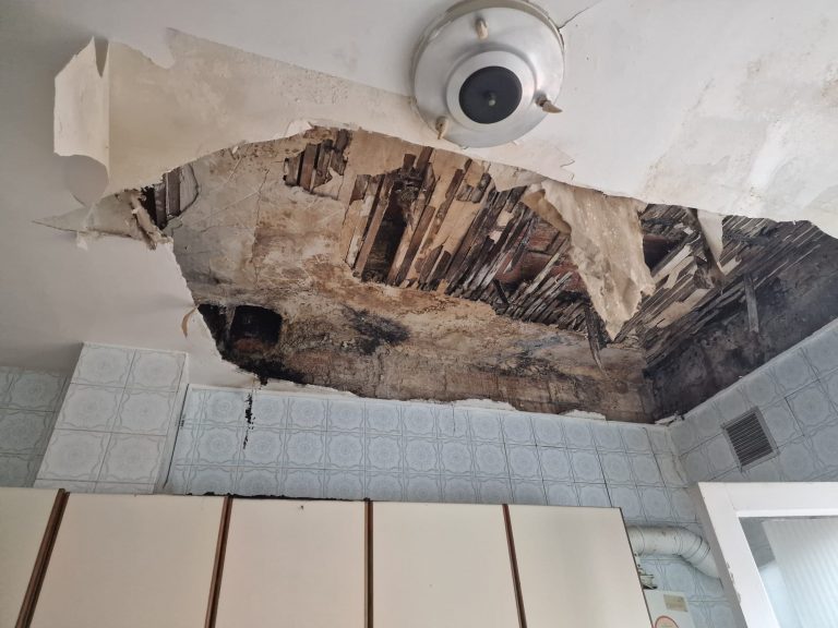 WhatsApp Image 2025-01-24 at 12.24.54