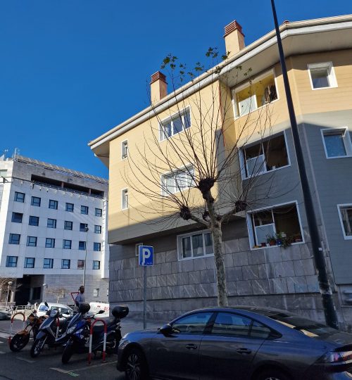 WhatsApp Image 2024-02-13 at 14.52.44