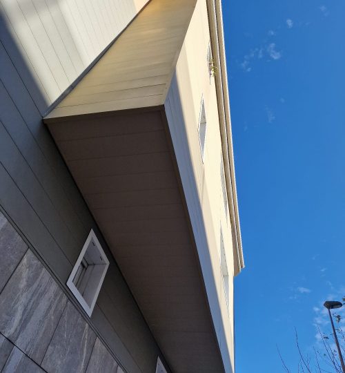 WhatsApp Image 2024-02-13 at 14.52.46 (1)